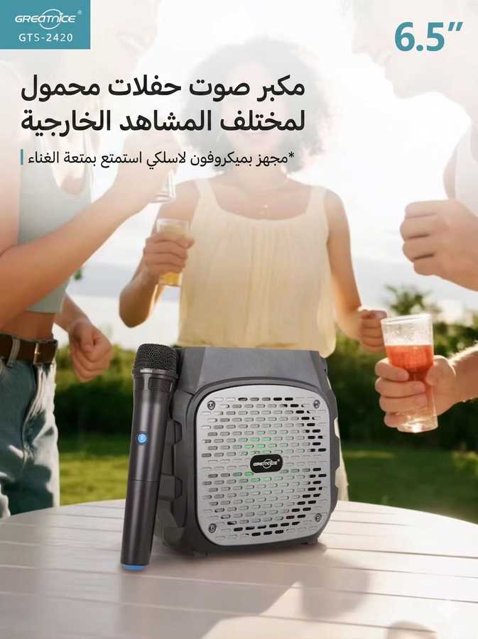 6.5 بوصة مكبر صوت محمول بمقبض مدمج